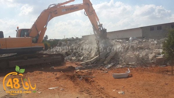 rokam dahmashs (3).jpg